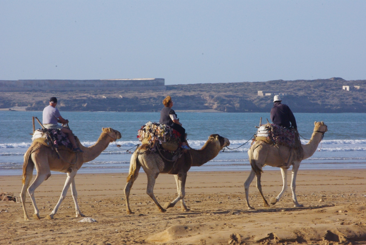 cheval essaouira