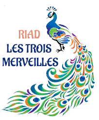 Riad Les Trois Merveilles - Hotel à Essaouira